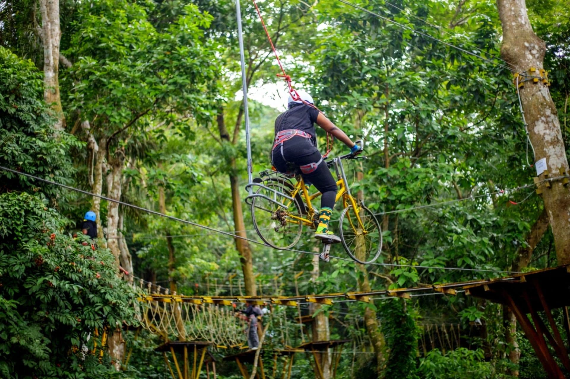 We-Ape Mega Zipline & Adventure Park view 5