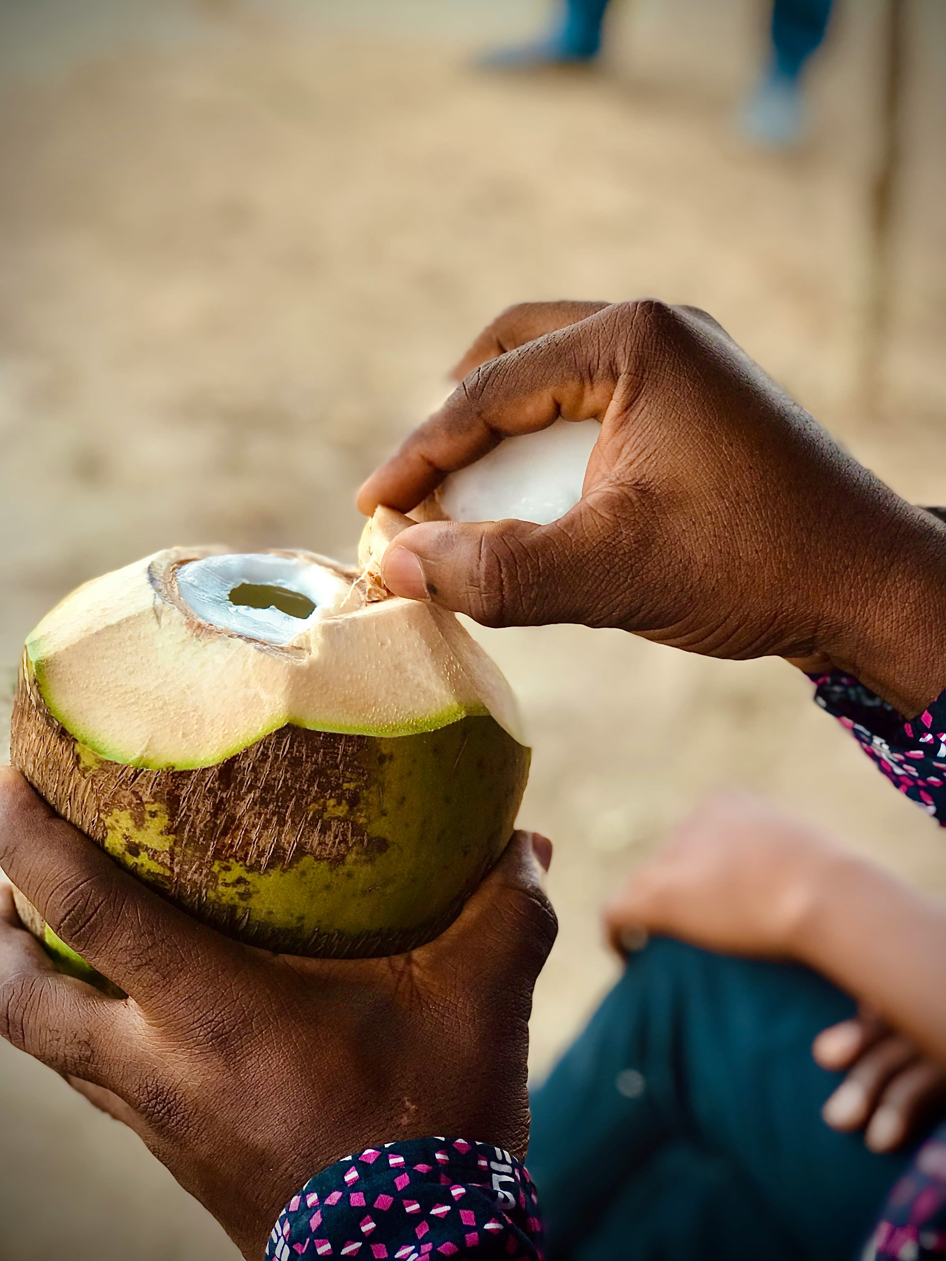Discover Accra: History, Culture & Art view 3