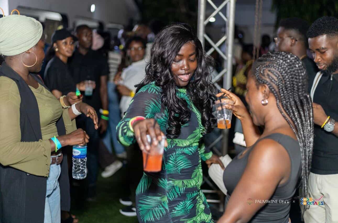 Karoake + DJ Set Experience With Palmwine DJ view 2