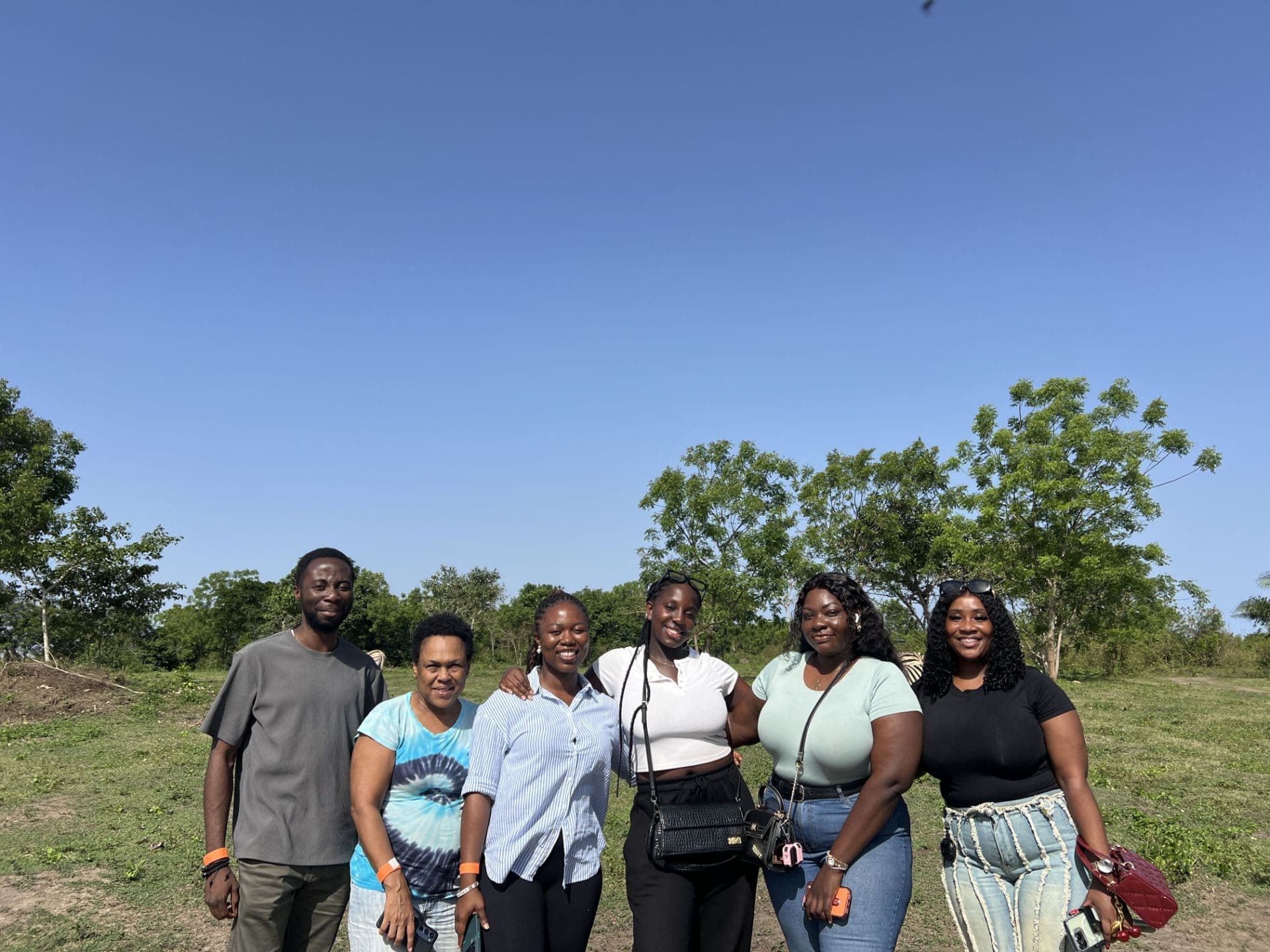 A Day at Crown Forest
