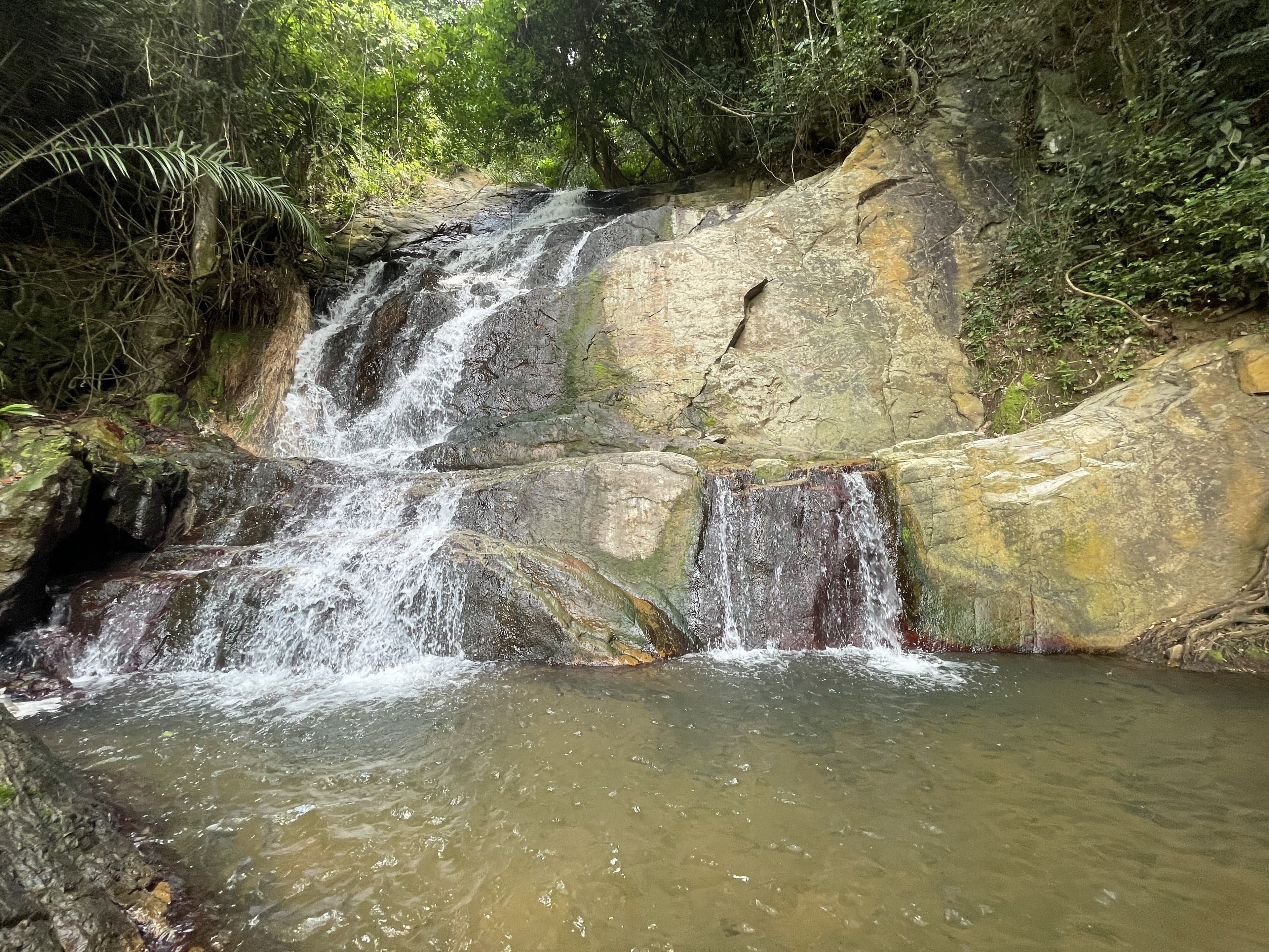 Quads & Falls view 2