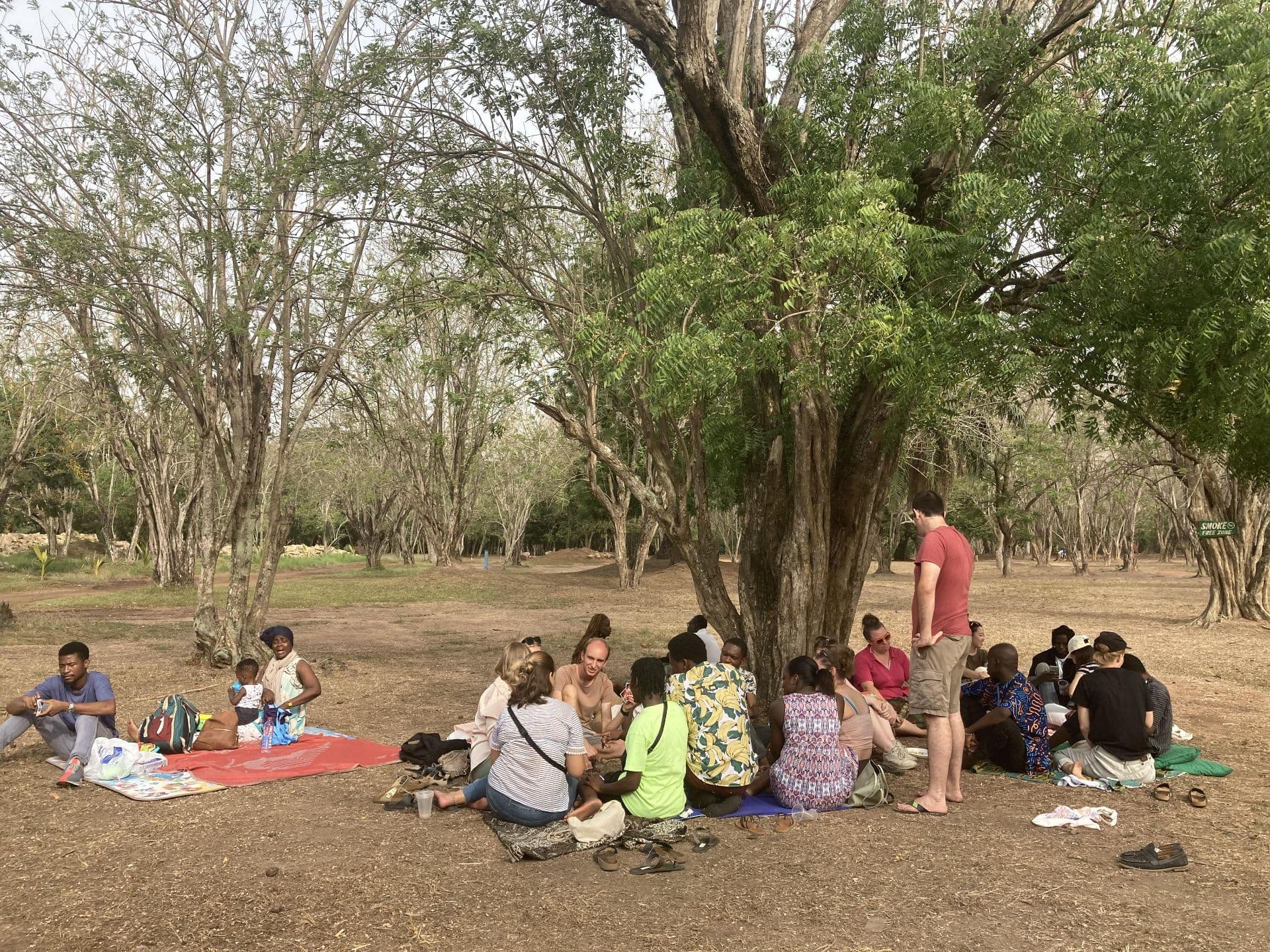 Sunday potluck in the park: our multilingual gathering view 4