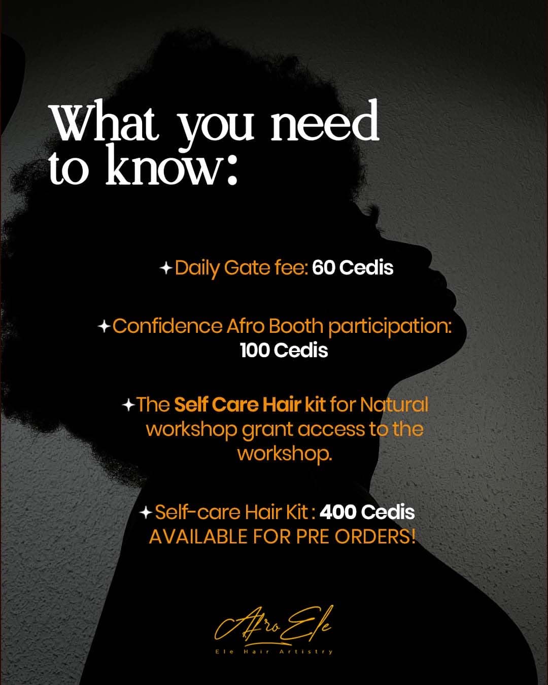 Confidence Afro Campaign by Afro Ele Hair Artistry 6