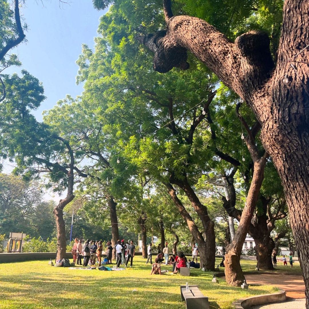 Sunday potluck in the park: our multilingual gathering view 2