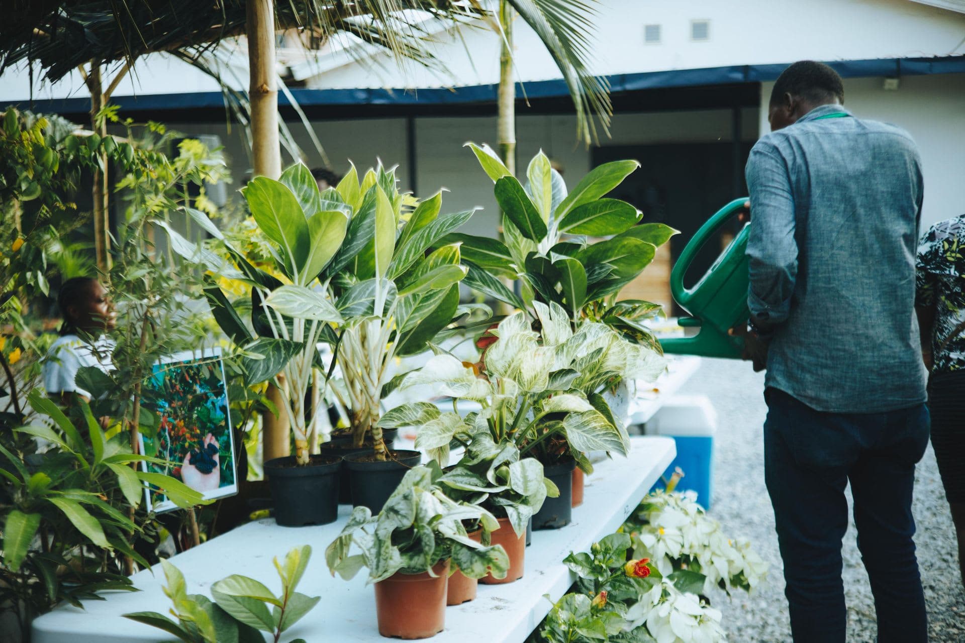 Hella Plants Market main
