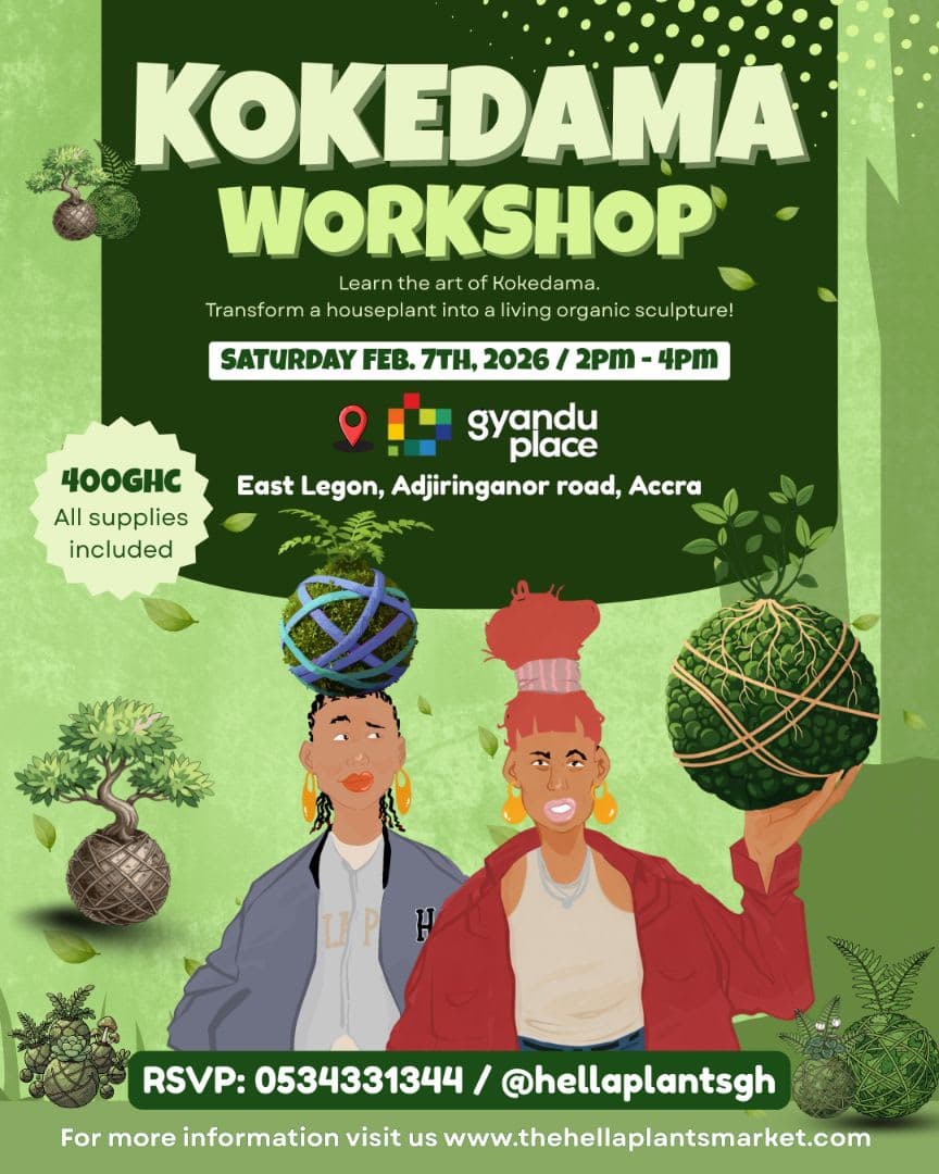 Accra Kokedama Workshop view 2
