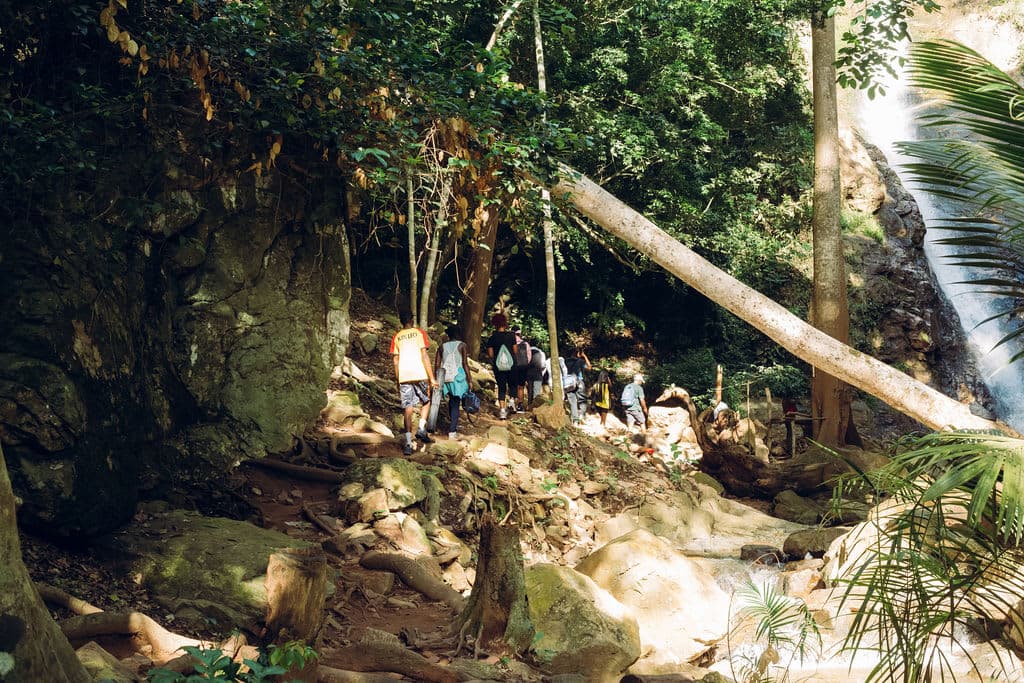 Hike Aburi "1st May Labour Day": A well curated and hospitable hiking experience in the beautiful surrounds of Aburi view 3