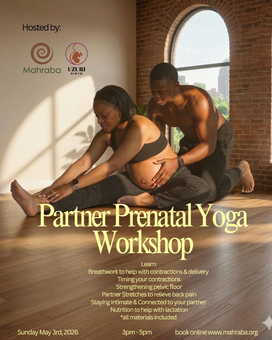 Partner Prenatal Yoga Workshop view 2