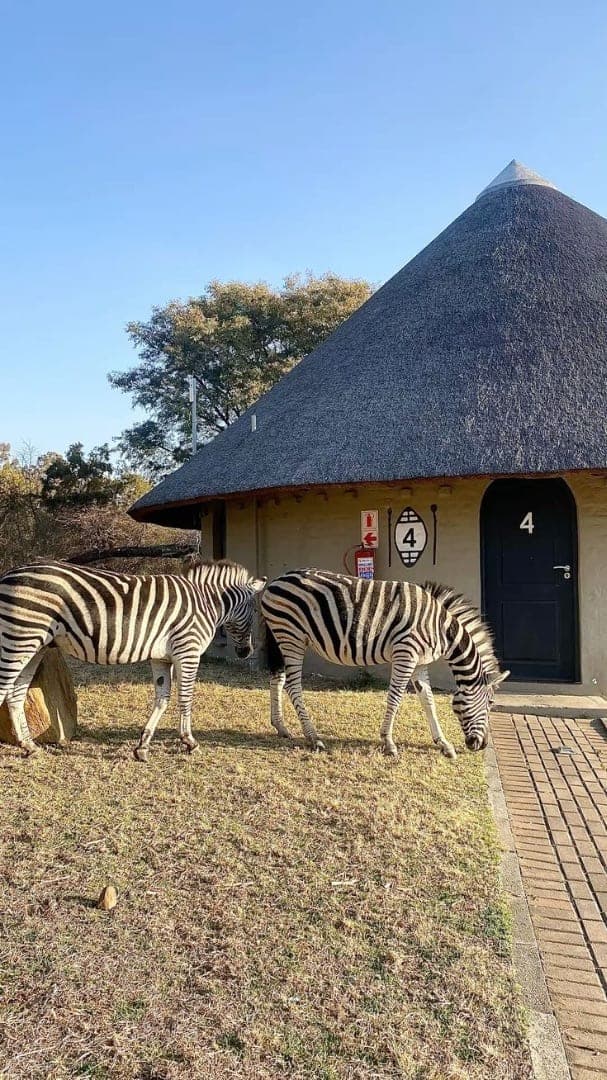 Safari Valley Day Trip view 2