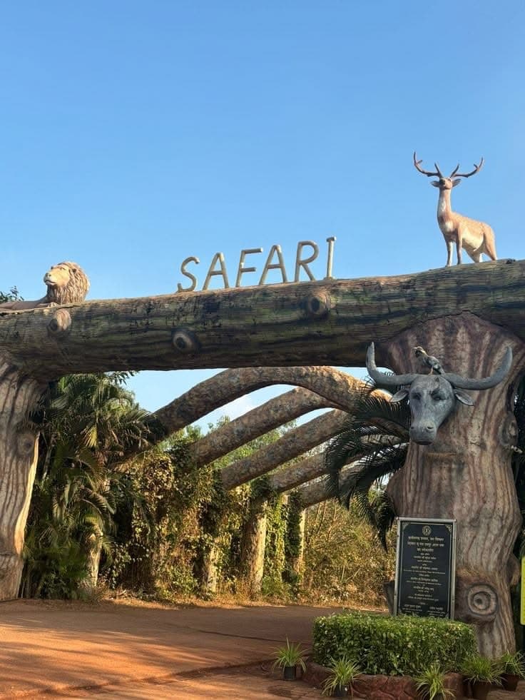 Safari Valley Day Trip view 3
