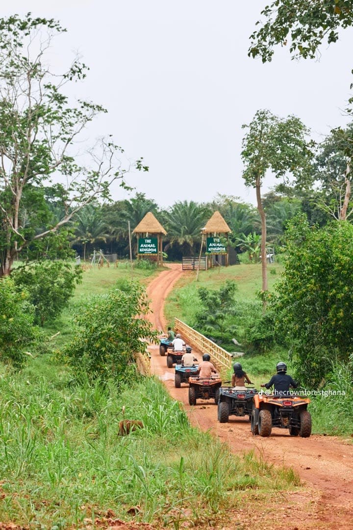 Quad Bike in The Forest view 2